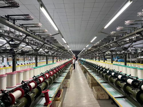 用好 數字化出?？?山東周村絲綢通過阿里國際站出海全球50多國